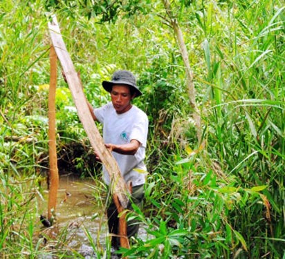 Tìm nơi gác kèo (ảnh T.Hiếu)
