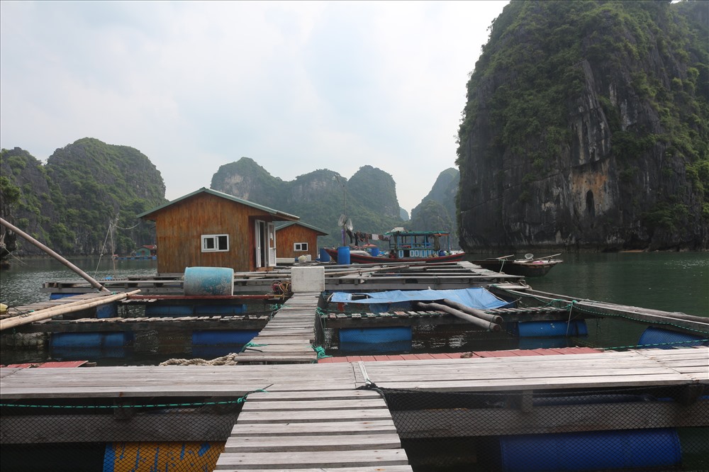 Lồng bè nuôi cá của ngư dân - vừa góp phần tăng gia vừa là điểm tham quan cho du khách. Ảnh: Nguyễn Hùng