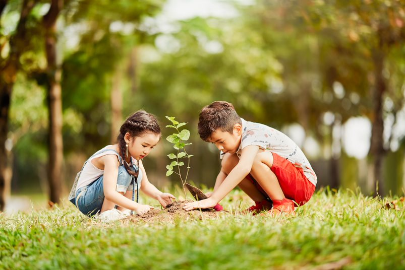 Gamuda Gardens là nơi ươm mầm tài năng nhí. Ảnh: Gamuda