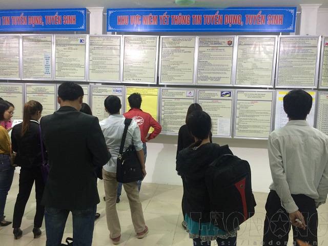 Người lao động tìm kiếm việc làm tại Trung tâm Dịch vụ việc làm Hà Nội. Ảnh PV.