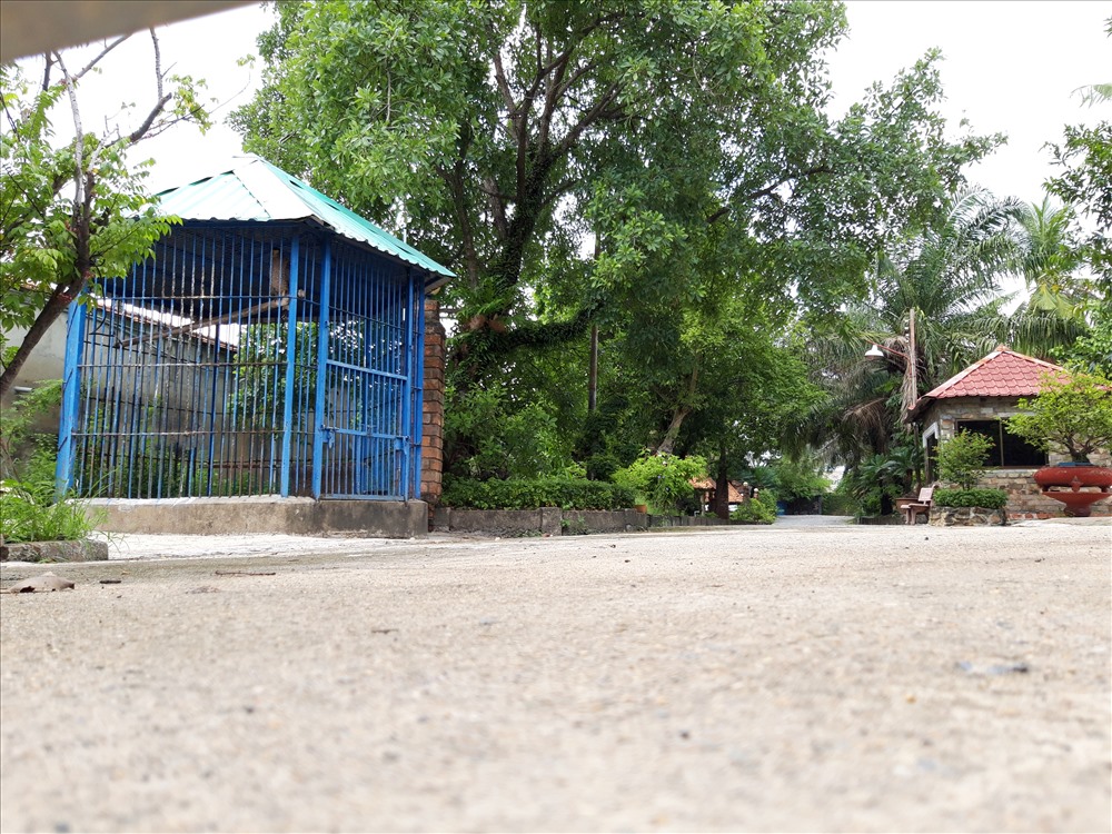 Bên trong khu du lịch để xảy ra việc hổ nuôi cắn người.