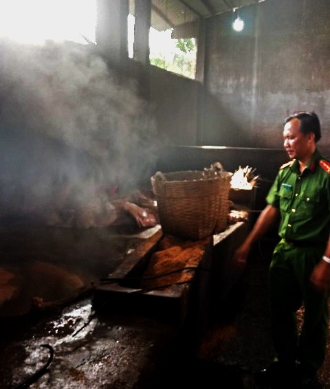 Lực lượng Công an trong đoàn kiểm tra liên ngành tiếp cận với điểm giết mổ heo trái phép. Ảnh: PV
