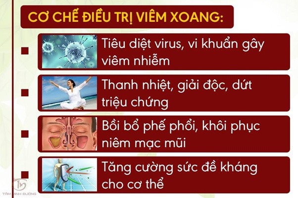 Cơ chế chữa bệnh của Cao Bổ Phế Tâm Minh Đường