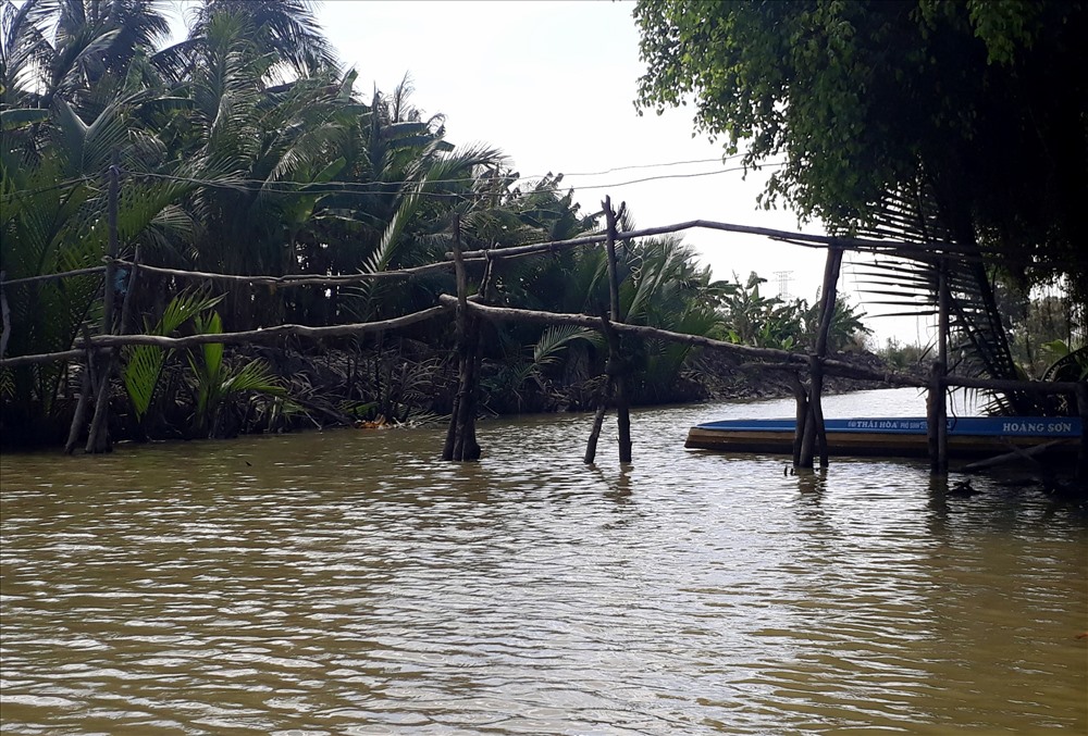 Tưởng rằng “Cầu khỉ” đã xóa từ lâu, nhưng hiện tại nó là cách qua sông hàng ngày của nhiều người dân ở xã Phong Thạnh A, thị xã Giá Rai, Bạc Liêu (ảnh Nhật Hồ)