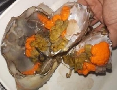 Thịt, rạch của Cà Mau nhiều, ngon (ảnh Nhật Hồ)