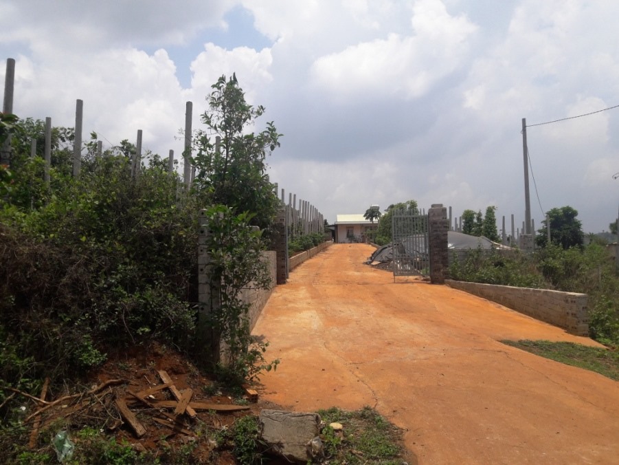 Đất lâm nghiệp được cán bộ hợp thức hóa thành đất ở và đất nông nghiệp cho ông Nguyễn Đức - Trưởng ban quản lý rừng Bắc Biển Hồ. Ảnh Đình Văn