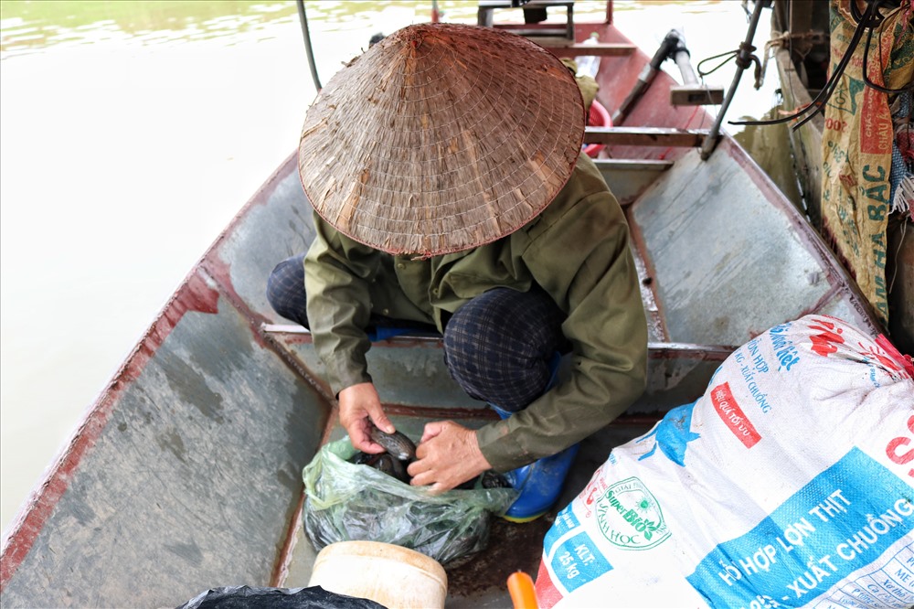 Nghề mò ốc, cào hến trên sông có nhiều gian nan, vất vả.