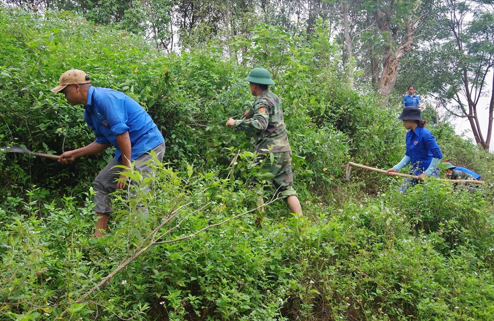 Đoàn viên thanh niên và chiến sĩ Đồn Biên phòng Hướng Lập phát quang cây bụi để trồng hoa dã quỳ. Ảnh: MH.