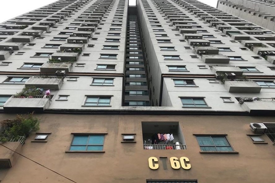 Dự án Bemes. Ảnh PV