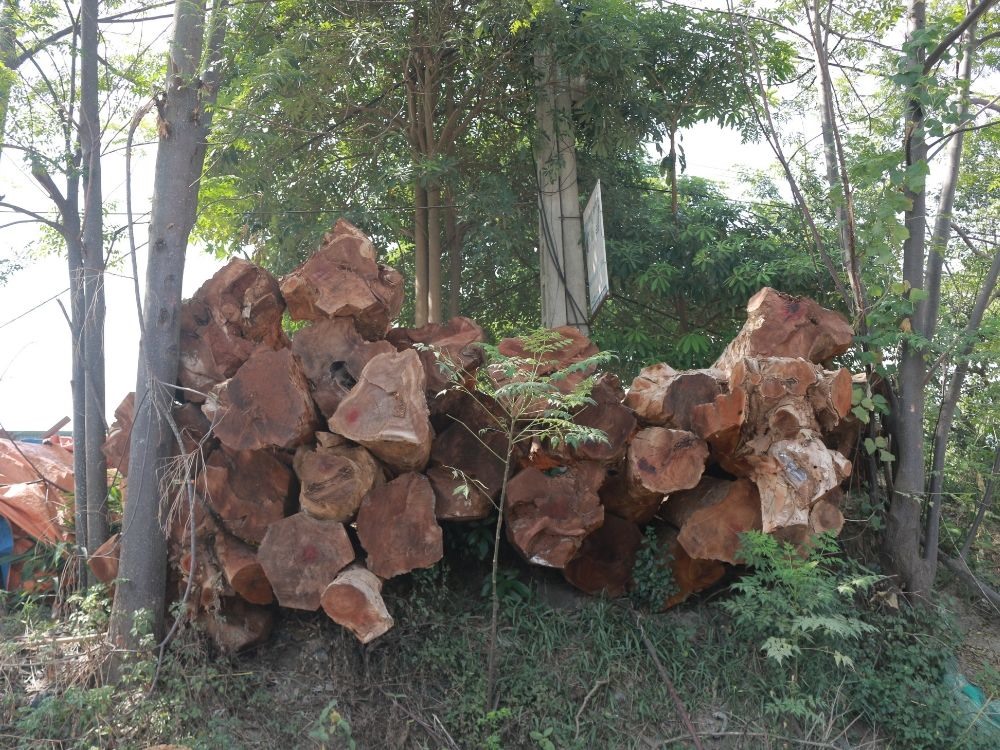 Một số hộ dân còn tận dụng phần chân đê để tập kết nguyên vật liệu kinh doanh.