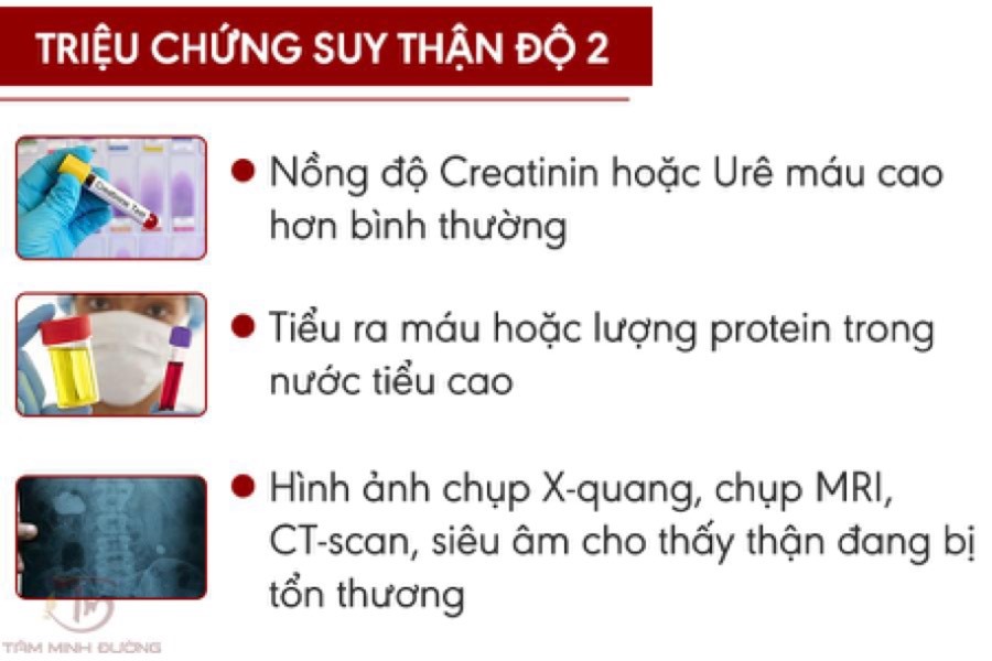 Triệu chứng của suy thận độ 2