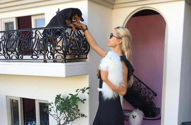 Paris Hilton mua biệt thự sang trọng giá 325.000 USD dành cho chó. Ảnh: Instagram