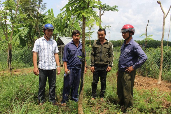 Các công nhân Đội quản lý công trình đô thị trồng lại những cây xanh đã bị nhổ trộm. Ảnh: N.N