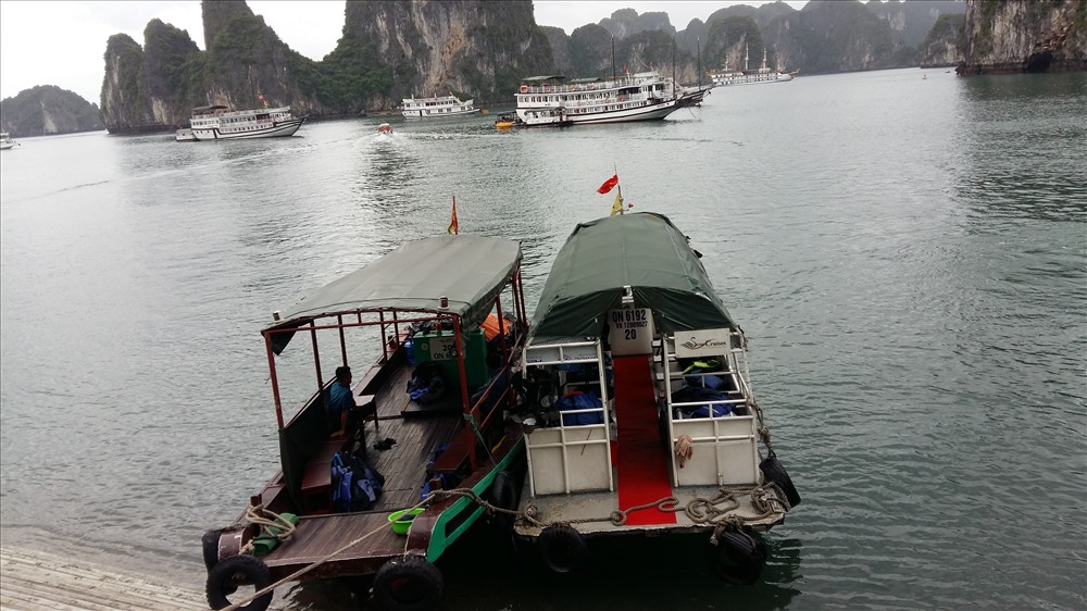 Tất cả các tàu du lịch trên vịnh Hạ Long, Bái Tử Long phải về bến lúc 11h trưa nay. Ảnh: Nguyễn Hùng
