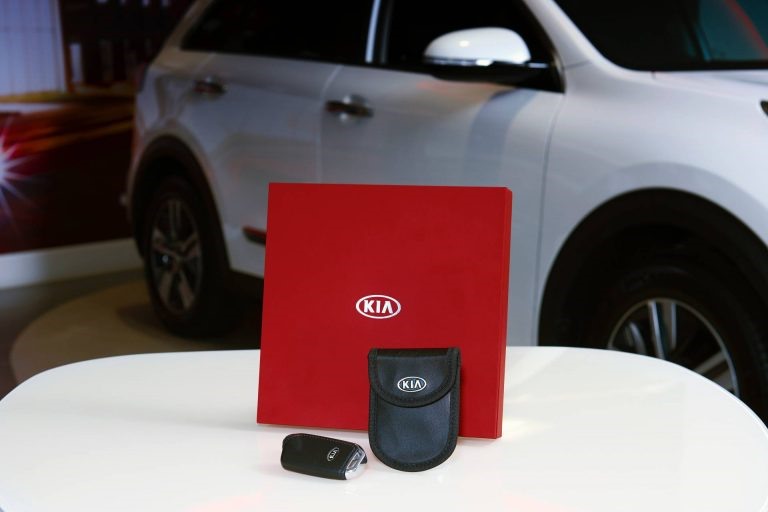 Thiết bị mới của Kia vẫn chưa về thị trường Việt.