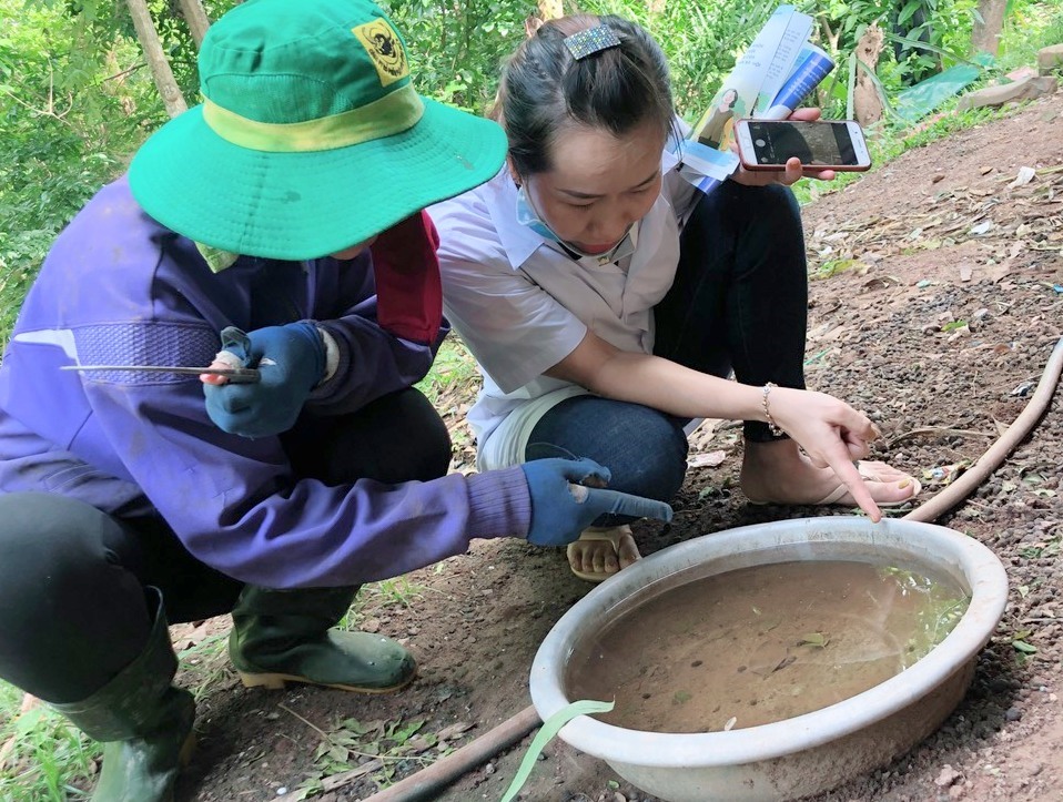 Tuyên truyền diệt loăng quăng phòng chống sốt xuất huyết. Ảnh: Hưng Thơ.