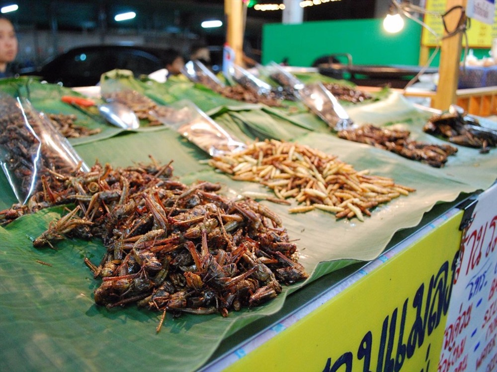 Bọ cạp Bắc Kinh tuy không phải côn trùng nhưng cũng nằm trong món ăn được báo cáo bởi Liên Hợp Quốc