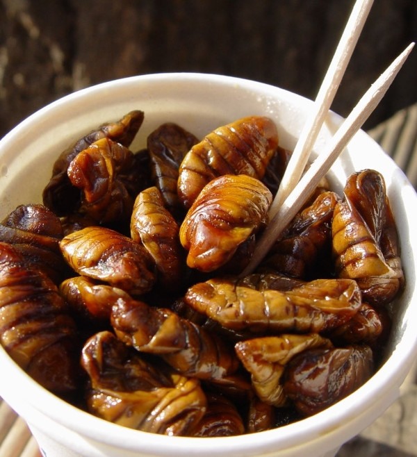 Một bát nhỏ tằm luộc có giá khoảng 46 nghìn đồng.