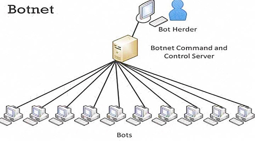 (Nguồn: www.vietnetco.vn).