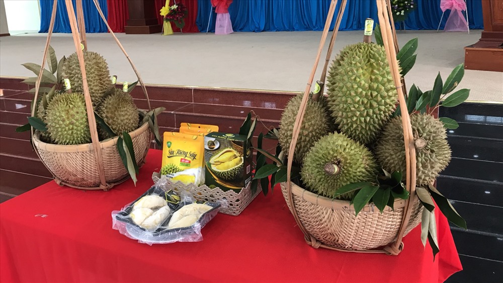 Trái sầu riêng Cai Lậy đang có cơ hội “bay xa“.