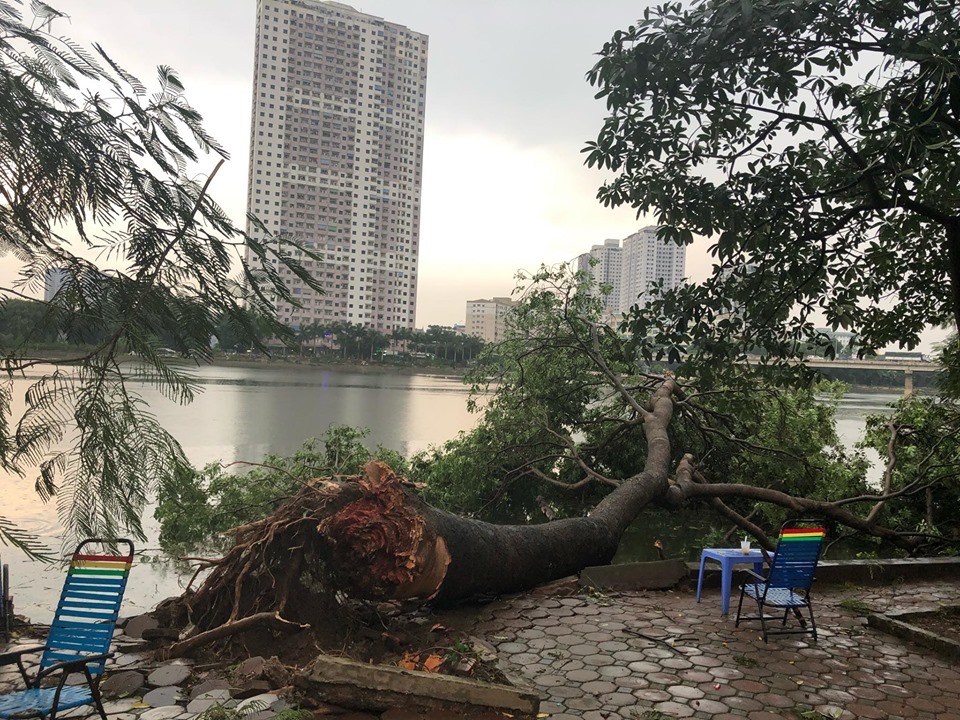 Mưa lớn, gió giật mạnh dù chỉ diễn ra trong thời gian ngắn nhưng sức gió khiến nhiều cây xanh không thể chống đỡ.