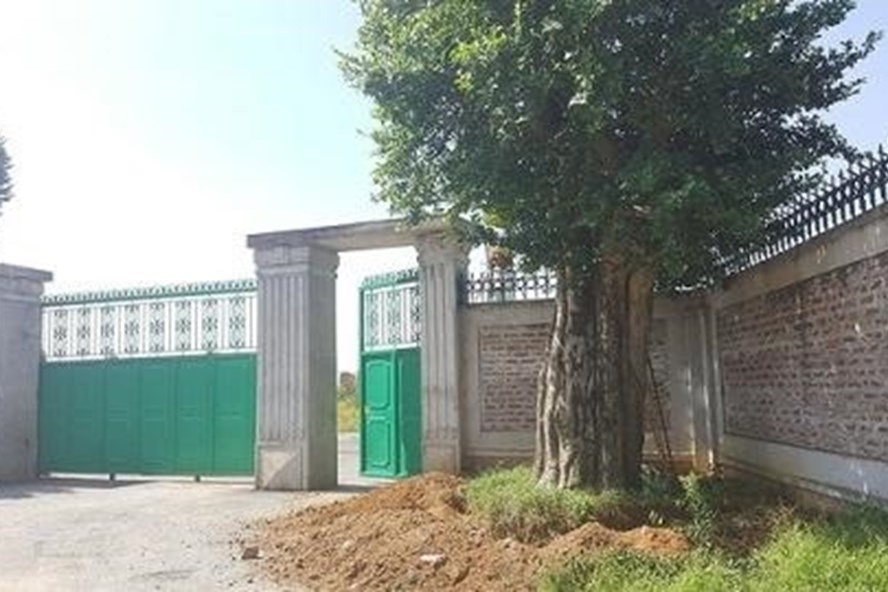 Khu dự án đã được Uỷ ban Nhân dân huyện Quốc Oai cấp cho mẹ ông Nguyễn Mạnh Quyền - Ảnh: Dân Việt