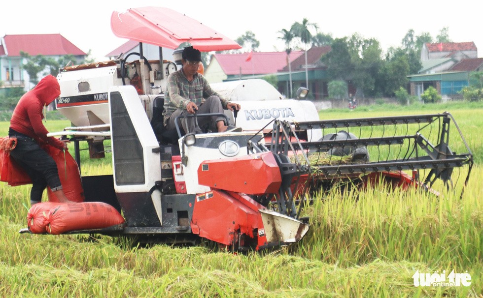 Nông dân Nghệ An gặt lúa chạy bão số 4. Ảnh: DH