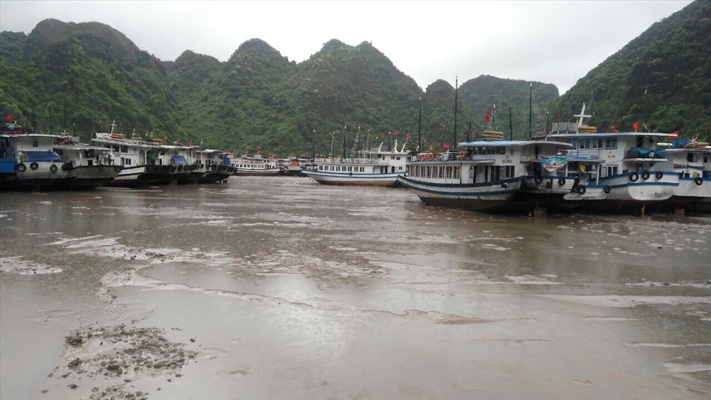 Được phép hoạt động trở lại từ sáng nay, nhưng nhiều tàu vẫn chưa thể trở về bến do mặc kẹt ở Gia Luận vì phải đợi thủy triều lên. Ảnh: Nguyễn Hùng