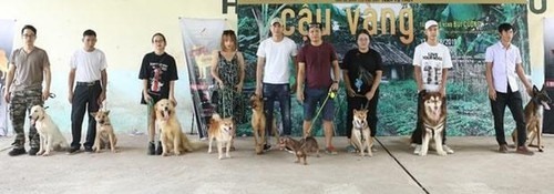 Các chủ nhân dắt chó dự tuyển.