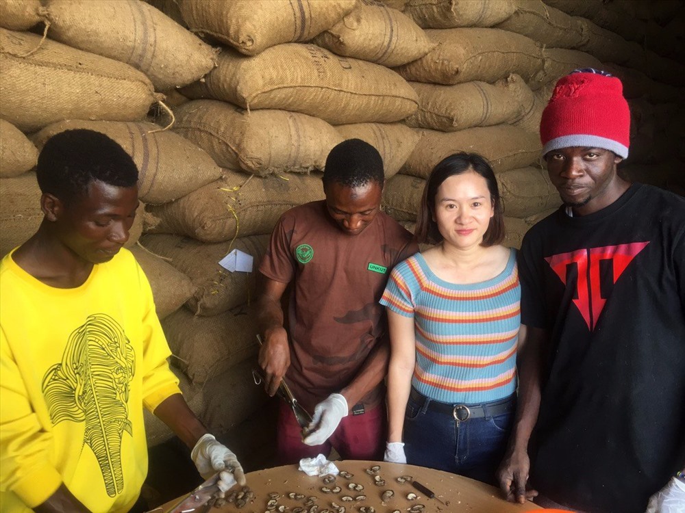 Các chuyên gia của T&T Group kiểm tra chất lượng điều thô tại kho ở Tanzania. Ảnh: T&T