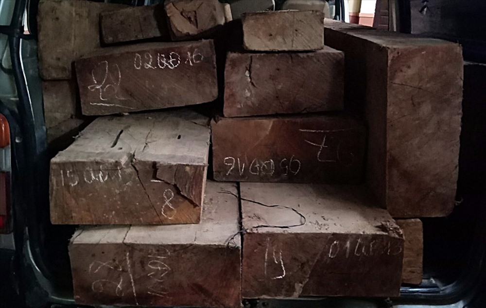Số gỗ trên xe ôtô bị thu giữ. Ảnh: LLCC