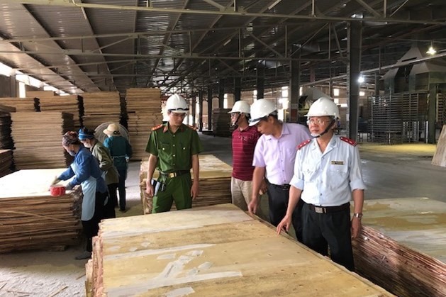 Đoàn thanh tra kiểm tra công tác an toàn vệ sinh lao động.