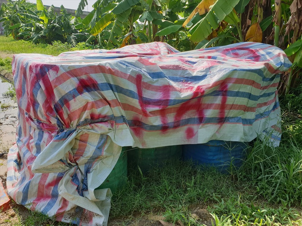 Các thùng phuy chứa rác thải nguy hại được quây kín bạt tại km19 Đại lộ Thăng Long. Ảnh: Phạm Đông