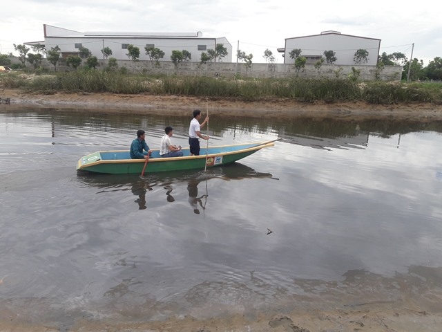 Tổ công tác của xã Thạch Đài vẫn đang tổ chức tìm kiếm, truy bắt cá sấu. Ảnh: Trần Tuấn