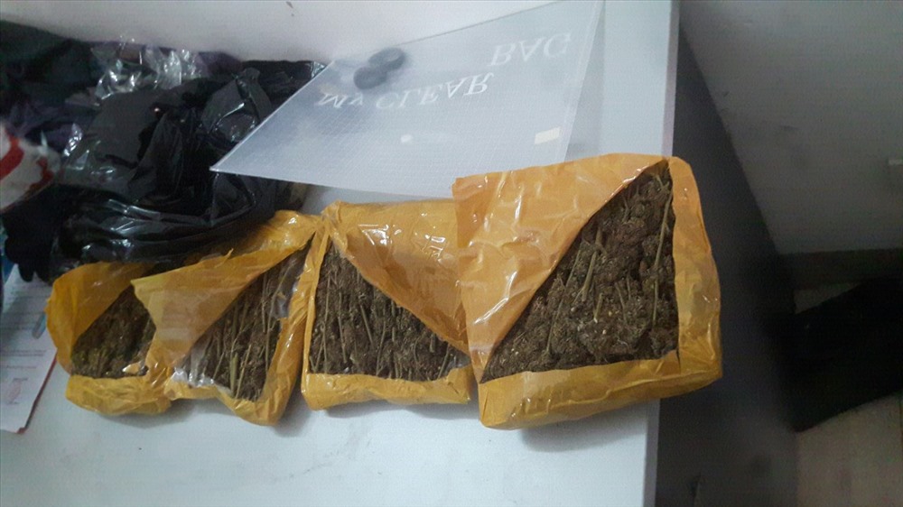 Số lượng cần sa mà Bộ đội biên phòng Đà Nẵng thu được của các đối tượng là gần 1,5kg. ảnh: Văn Đạo.