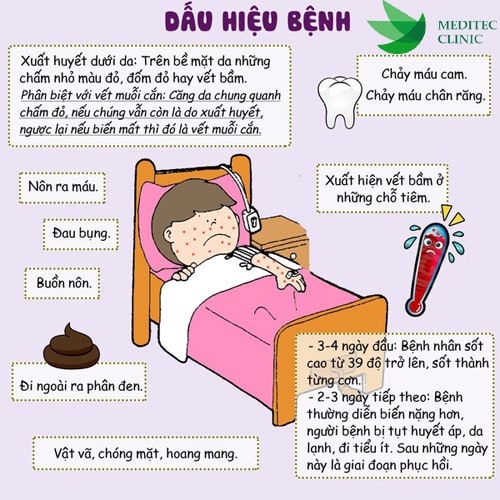 Những dấu hiệu nhận biết bệnh sốt xuất huyết.