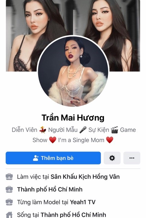 Thông tin của cô gái ăn mặc hở hang ở Hội An. Ảnh chụp màn hình
