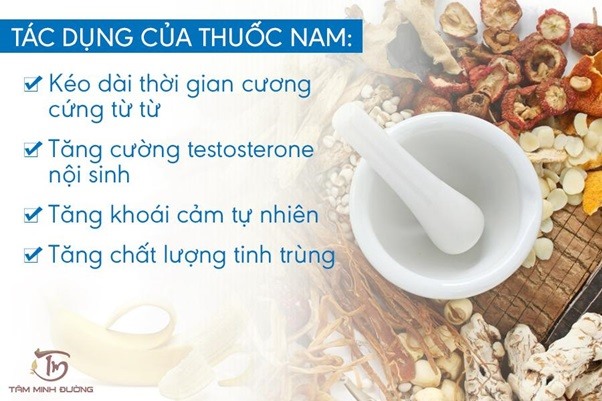 Thuốc nam có những công dụng vượt trội, rất phù hợp để điều trị những bệnh sinh lý