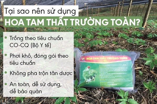 Những ưu điểm nổi bật của Hoa Tam Thất Trường Toàn