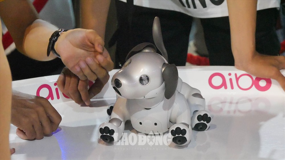 Aibo có kích thước gần bằng một chú chó săn nhỏ, nhưng chỉ nặng chưa đầy 5 pound (2,3kg). Chú chó này có thể hoạt động trong khoảng 2 giờ nhờ pin Li-ion và mất khoảng 3 giờ để sạc đầy.