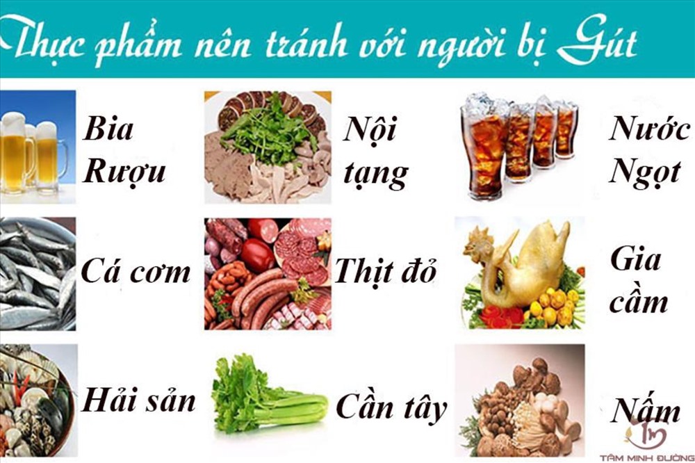 Một số thực phẩm nên tránh khác với người bệnh gout