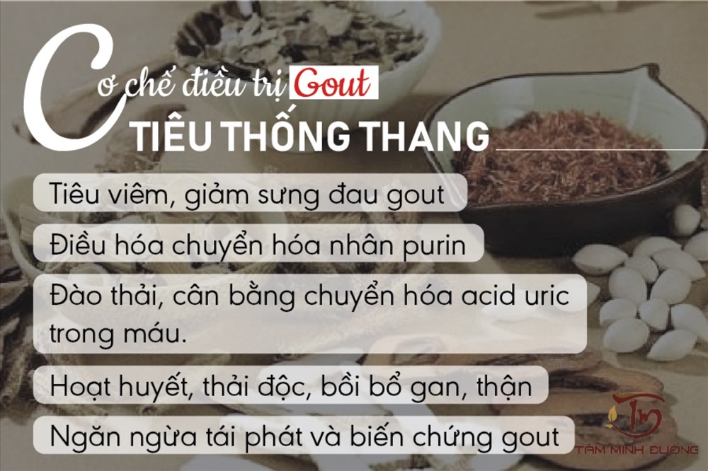 Cơ chế điều trị bệnh gút của Tiêu Thống Thang