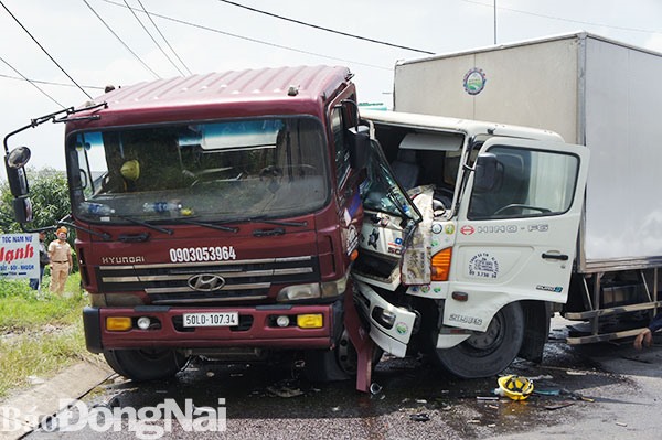 Ảnh: Báo Đồng Nai