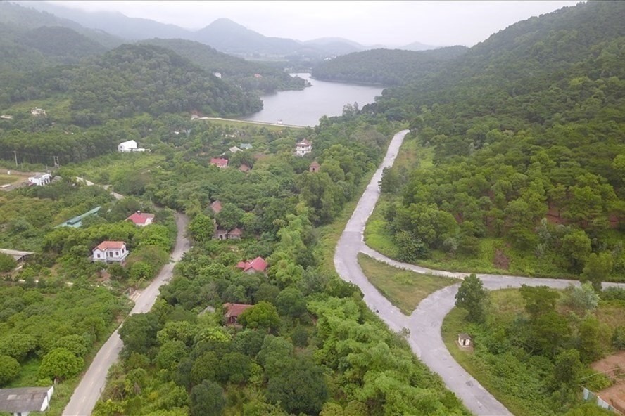 Rừng phòng hộ Sóc Sơn bị “xẻ thịt“. Ảnh: Văn Thắng