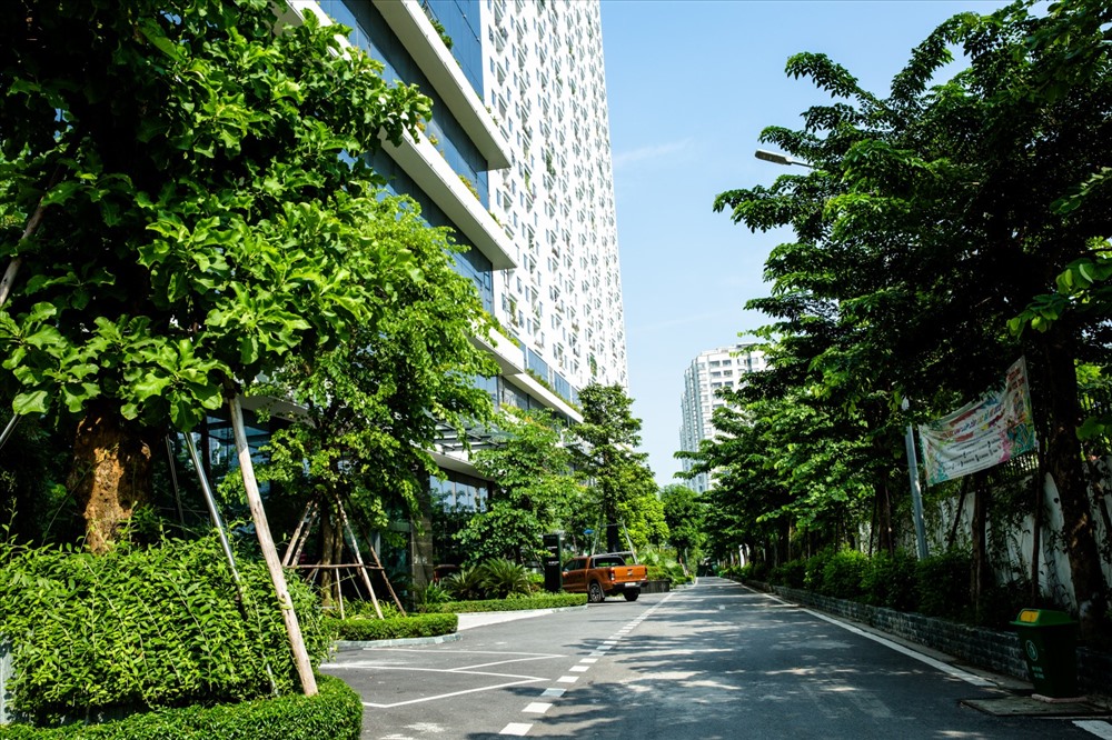Tập đoàn Capital House trồng 5475 cây xanh nhân dịp kỷ niệm 15 năm thành lập.