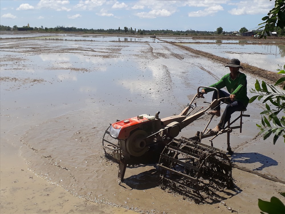 Nông dân một nắng hai sương, đến thi thu hoạch “cò” định giá (ảnh Nhật Hồ)
