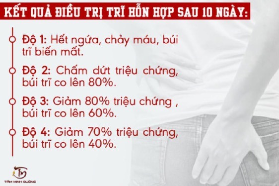Hiệu quả điều trị của Cao tiêu trĩ An Trĩ Nam
