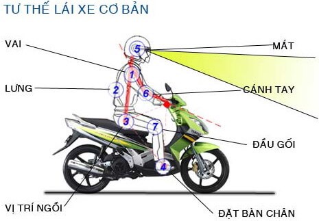 Khi lái xe máy, tư thế ngồi rất quan trọng, nó sẽ khiến cho bạn đỡ mệt mỏi khi di chuyển lâu. Ảnh: ST