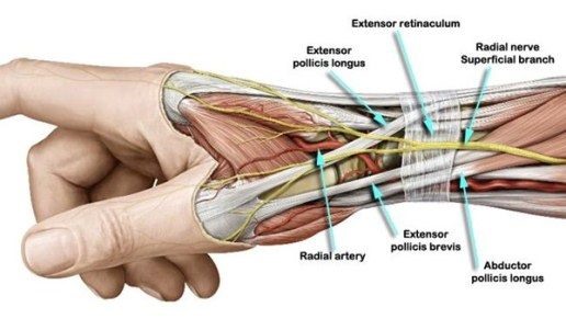 Tránh khỏi loạt bệnh về xương khớp không đáng có. Ảnh: ST