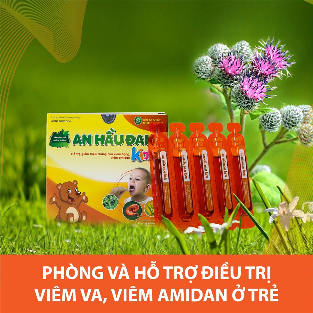 An Hầu Đan Kids chứa nhiều thảo dược quý hiếm, trong đó có cúc lục lăng hỗ trợ điều trị viêm VA hiệu quả